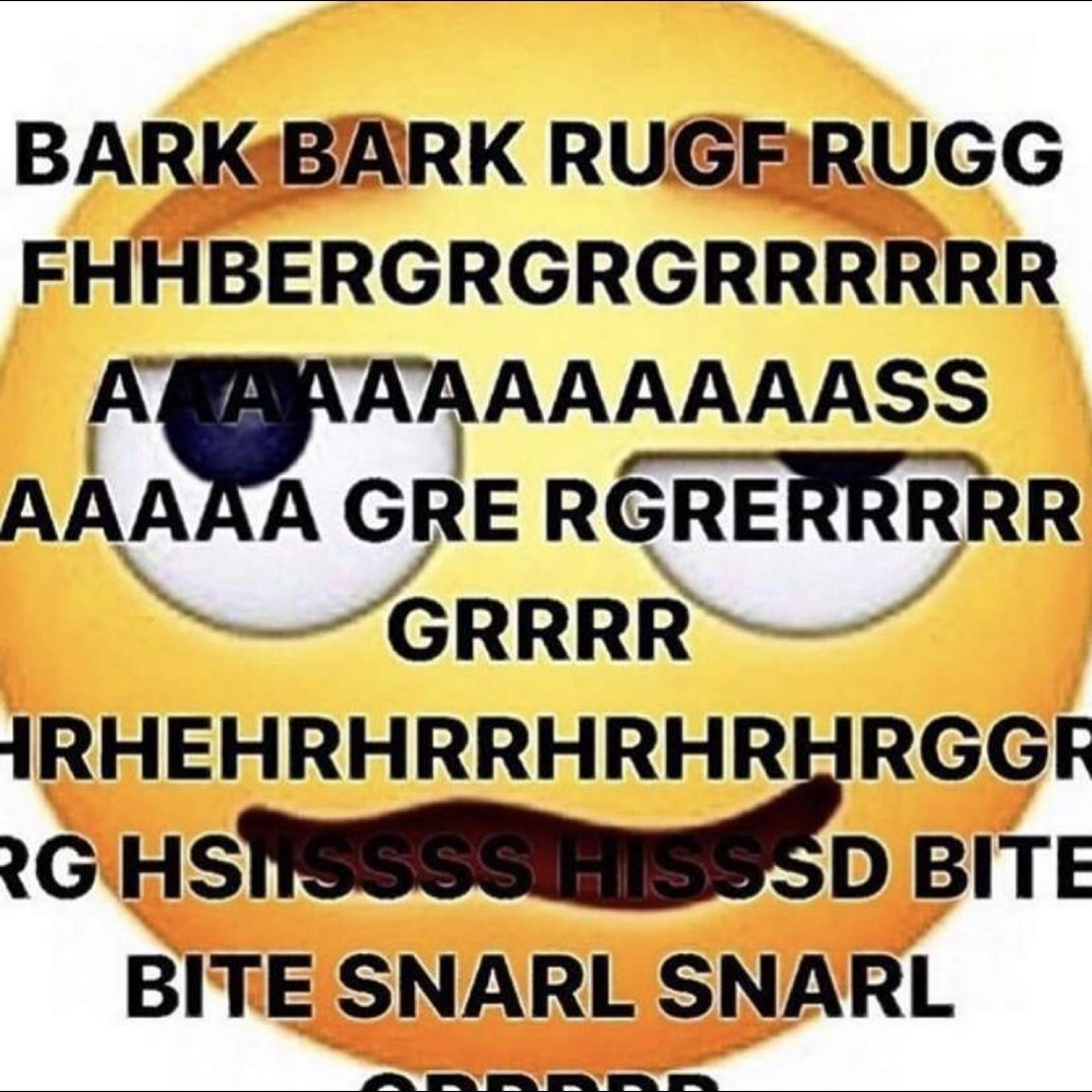 Meet your Posher, Makaila